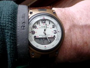 Casio Telememo AW80V