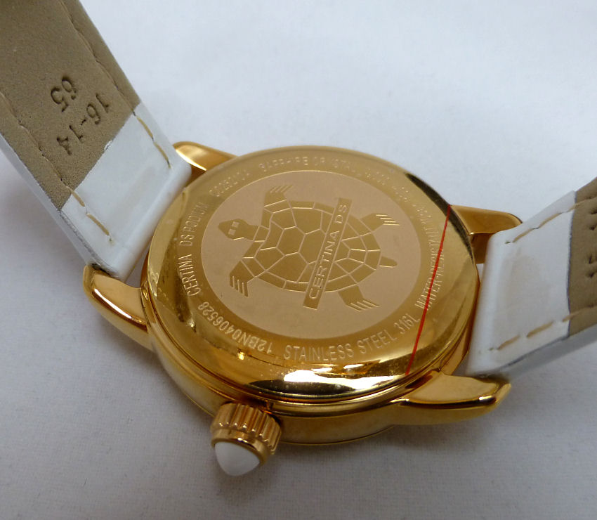 The Turtle motif denotes DS - classification.