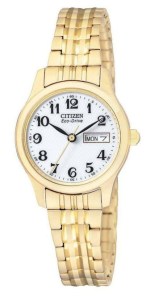 Citizen EcoDrive Ladies Day & Date watch